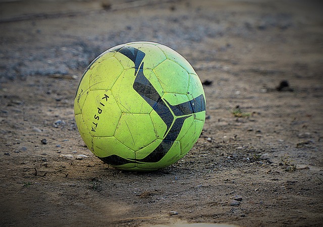 我们看到的 我们看到的