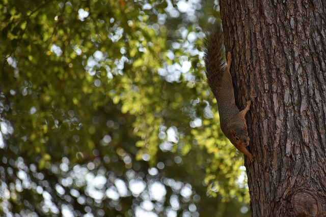 这一成功背 这一成功背