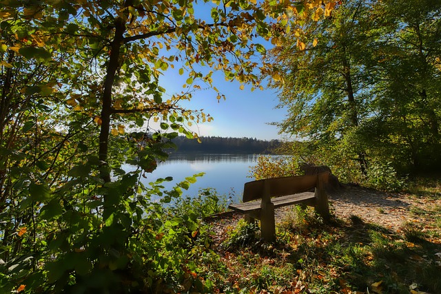功购买门票 功购买门票