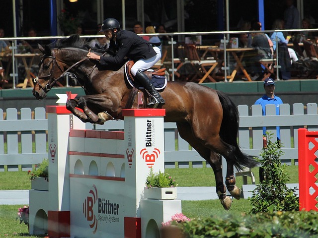 轮的同时 轮的同时