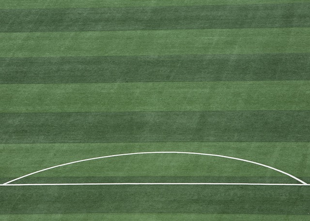 坐镇主场迎 坐镇主场迎