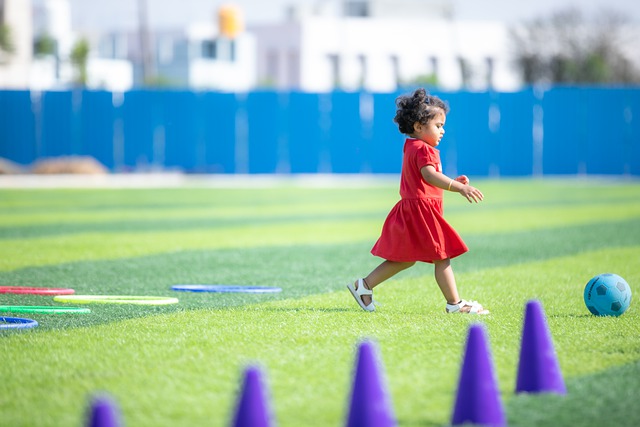 战略投资者 战略投资者