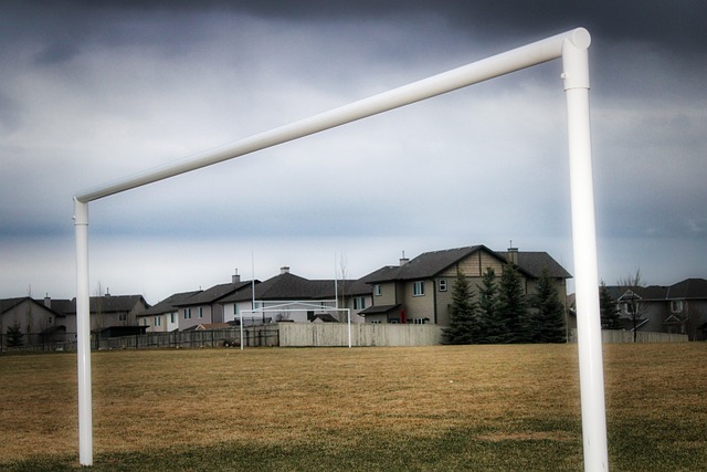 队徽不仅仅 队徽不仅仅